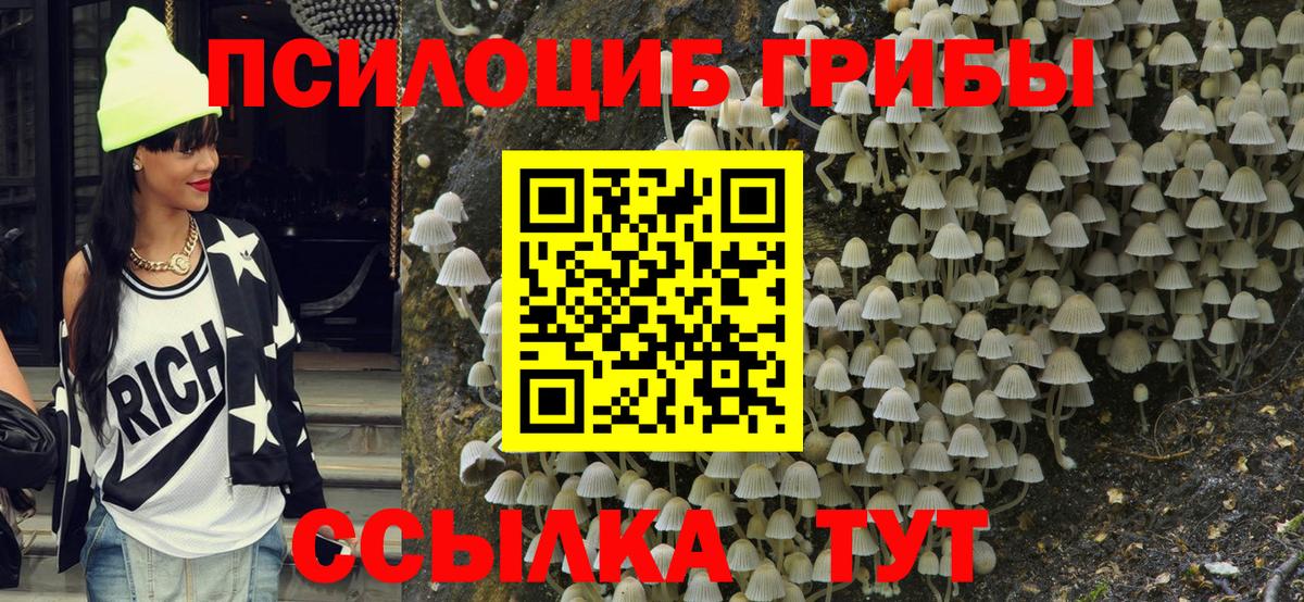 Галлюциногенные грибы MAGIC MUSHROOMS Елец
