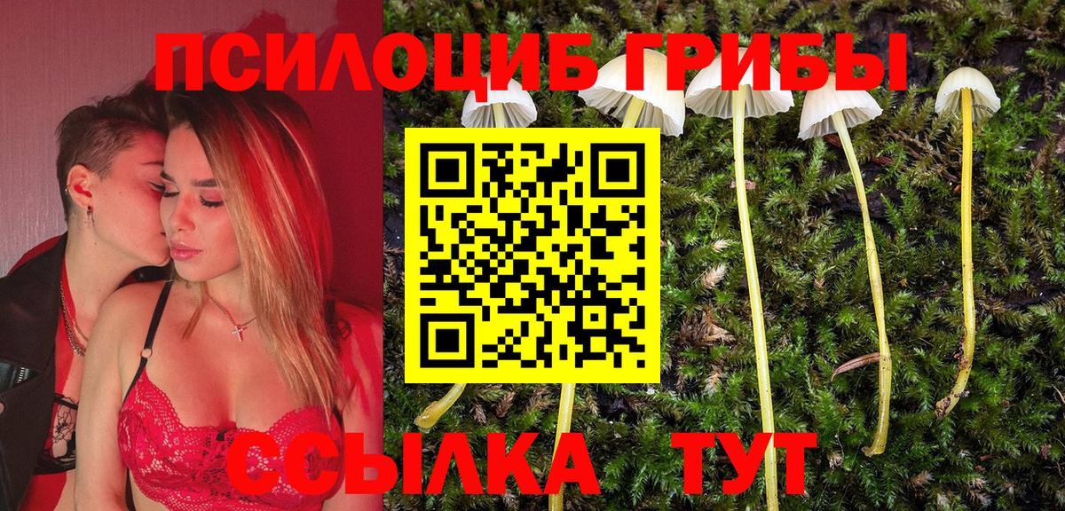 Елец  Псилоцибиновые грибы ЛСД  Галлюциногенные грибы Psilocybe  Вход с VPN 